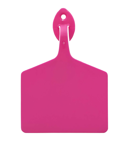 Allflex Original Feedlot One Piece Tag - Image 12