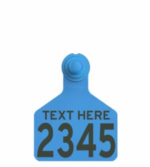 Z Tag 2 Piece Large Female (F3)