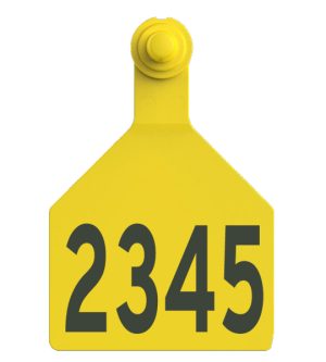 Z Tag 2 Piece Maxi (XL) Female (F4)