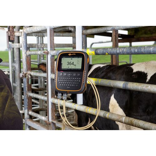 Gallagher TW-3 Weigh Scale & Data Collector - Image 2