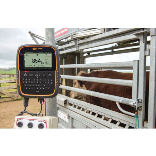Gallagher TW-3 Weigh Scale & Data Collector - Image 3