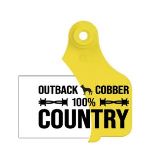 Logo Vector & Setup Fee