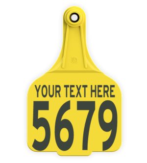 Leader Super Maxi Female