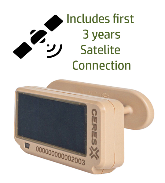 Ceres Wild Tag - Pack of 24 - Image 2