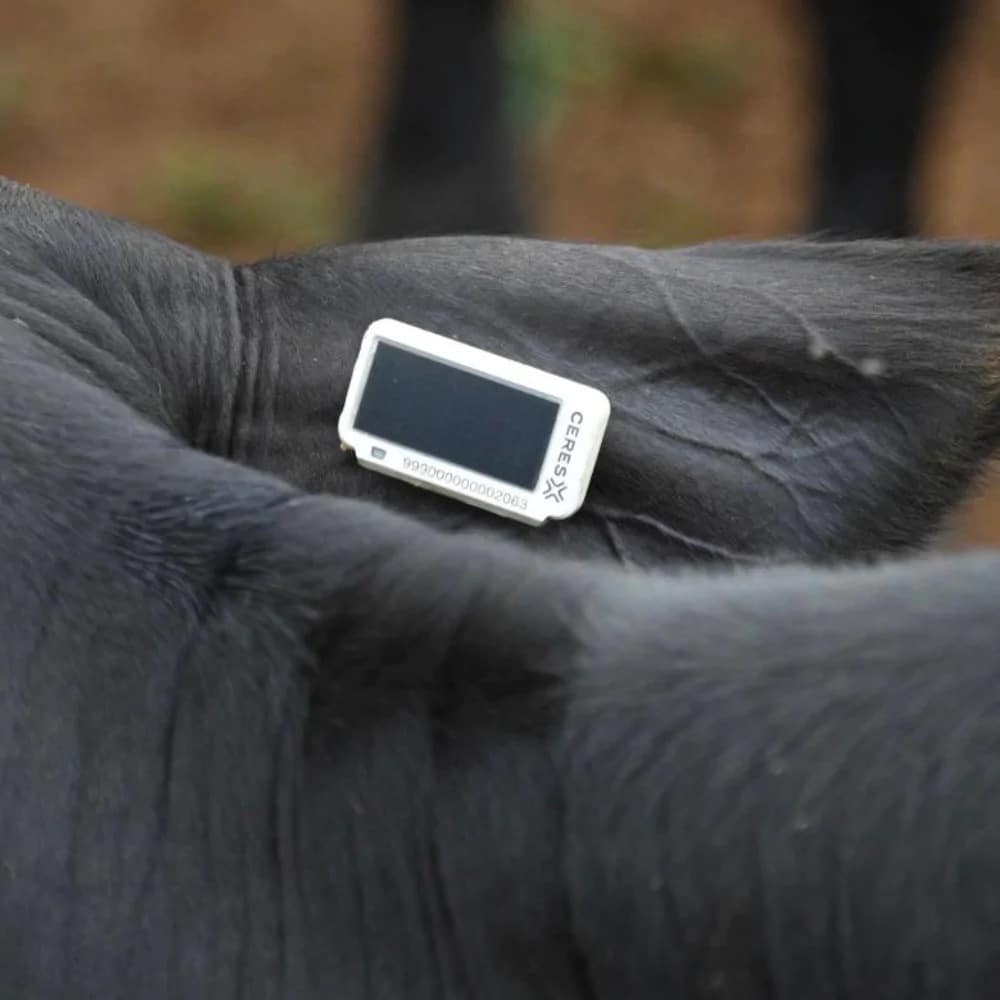 posts-articlesIMG_0917