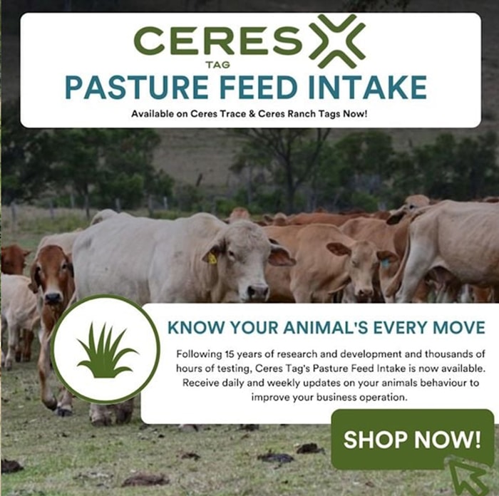 posts-articlesKnow-your-animals-move