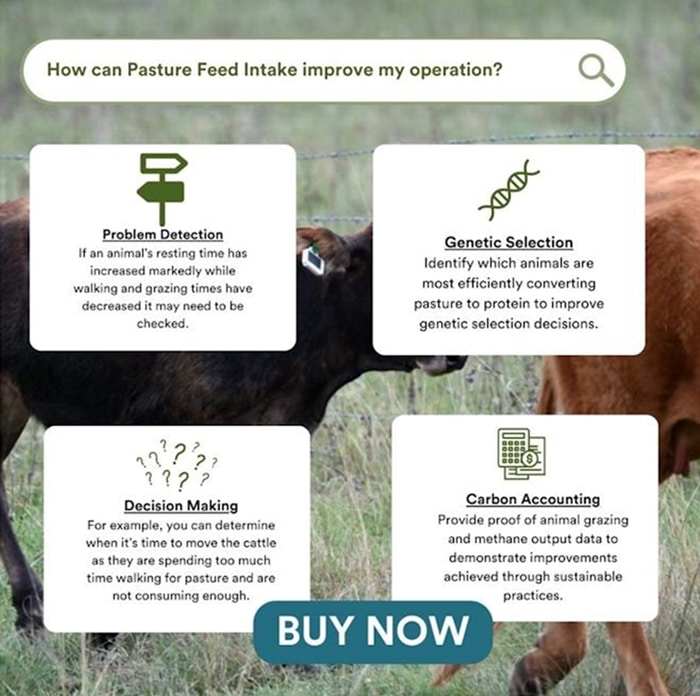 posts-articlesPasture-Intake