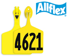 Allflex One Piece Tags