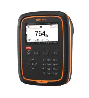 Gallagher W-1 Weigh Scale