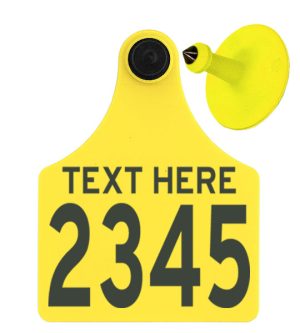 Allflex Maxi Female, Button Male Combo