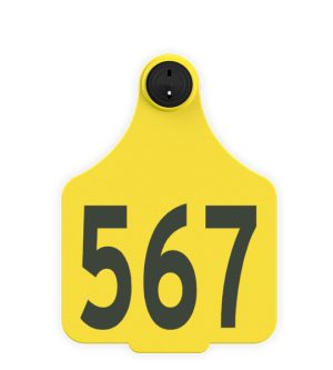 Leader Maxi Female Tamperproof