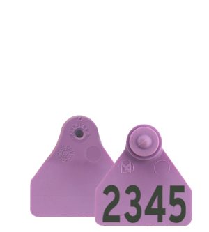 Allflex Ovina Male & Female