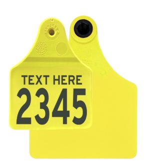 Allflex Senior Male & Maxi Female Combo