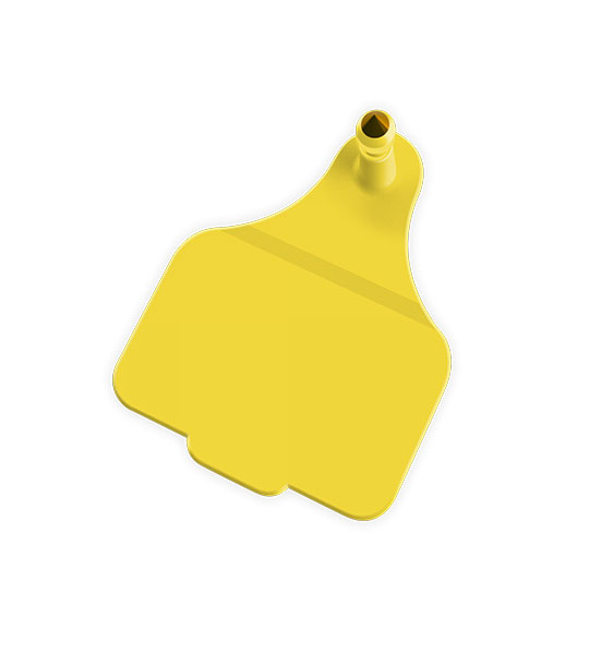 Leader LITS Official Cattle Flag EID & Large Male - Image 4