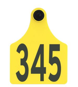 Allflex Maxi Female (F4 Ultra)