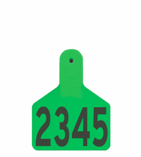 Z Tag 2 Piece Large Male (M3) - Image 10