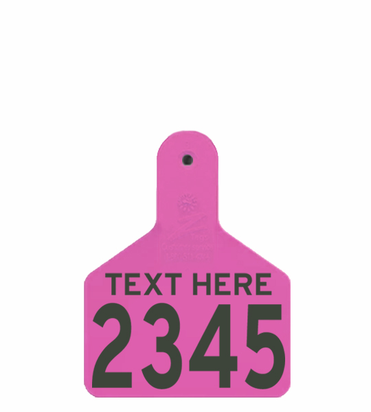 Z Tag 2 Piece Large Male (M3) - Image 8