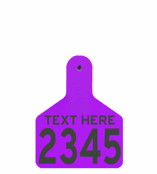 Z Tag 2 Piece Large Male (M3) - Image 7