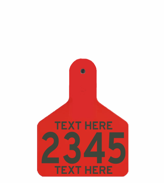 Z Tag 2 Piece Large Male (M3) - Image 6