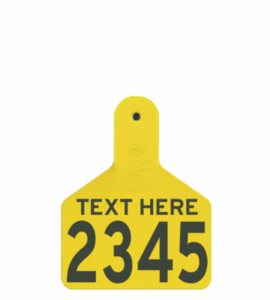 Z Tag 2 Piece Large Male (M3) - Image 4