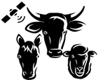 GPS Tracking Devices