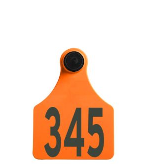 Allflex Senior Female