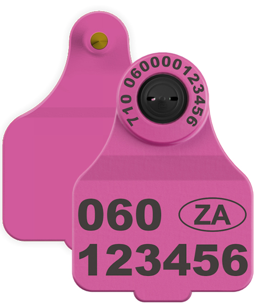 Leader LITS Official Cattle Flag EID & Large Male - Image 7