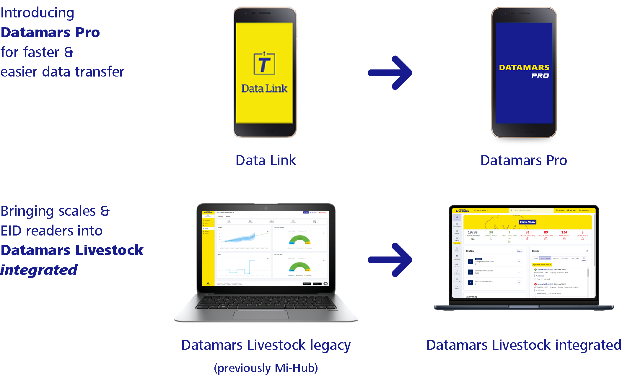 Data Link Software Datamars Pro - 4Tags.co.za