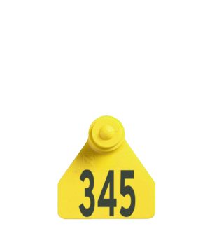 Allflex Ovina Female (F28)